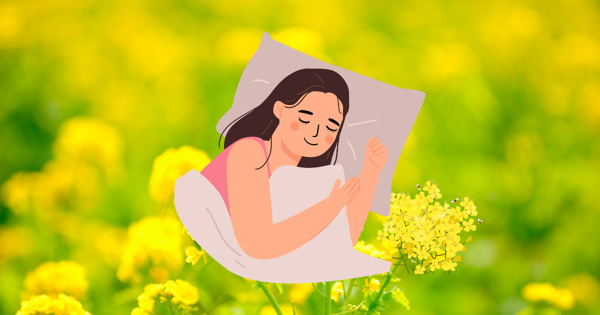건강한 수면